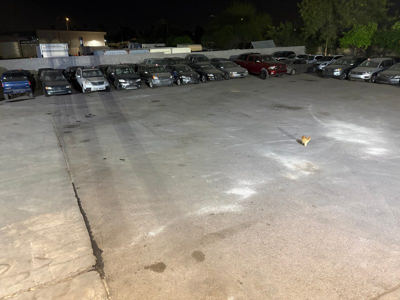 Emergency Towing and Transport job photo 38 — towing and recovery in Mesa, AZ
